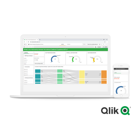 Qlik View